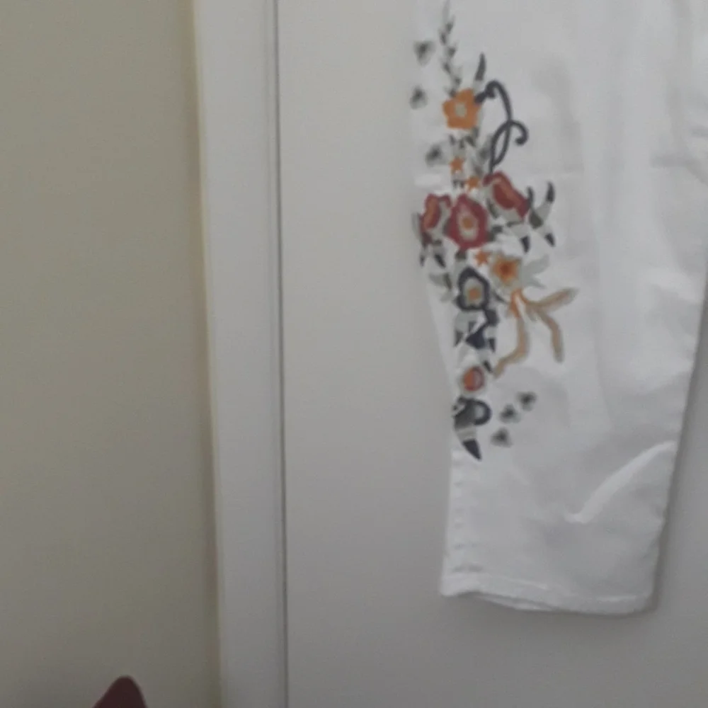 Capris - Picture 1 of 3